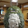SAIAM's profile picture
