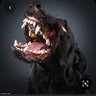 Фото профиля Canis Vulgaris 🐺