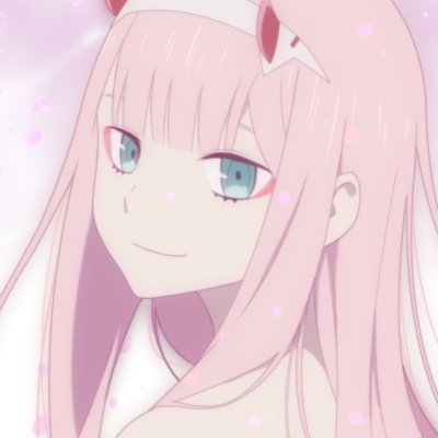 zerotwo2049482's profile picture