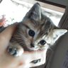 るーちゃん🐾's profile picture