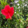すてふぁ profil fotoğrafı