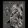 Rafa L@zaragocista profil fotoğrafı