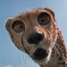 Profilbild von Kmille