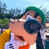 ちー坊's profile picture