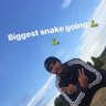 Reece Barrett's profile picture