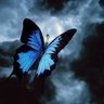 Profilbild von Axiome Bleue