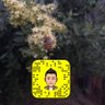 طارق السحيمي ( لذة رحيق للعسل الجبلي و البري )'s profile picture