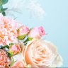 Bloom 🌼 profil fotoğrafı