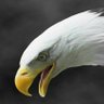 Profilbild von E®©aN🏁🦅