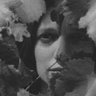 Elizabeth Milos profil fotoğrafı
