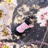 花と小鳥's profile picture