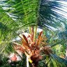 Фото профиля La Prima Lejana