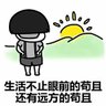 萌新T's profile picture