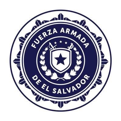FUERZA ARMADA's profile picture
