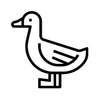 Shuttle_Duck's profile picture