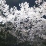 Фото профиля ぺんぎん