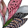 Oân-kéng灣｜高雄驛起飛｜'s profile picture