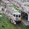 こーちゃん profil fotoğrafı