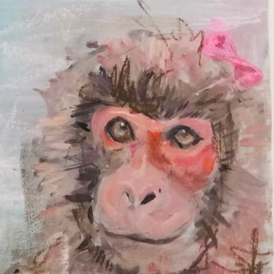 saori_kono's profile picture