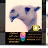 Profilbild von راعي الشرفاء