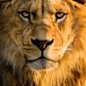 अखण्ड भारत 🇮🇳 profil fotoğrafı