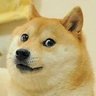 Unknown's profile picture