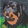 🇺🇸Sir•Rottie•Stout🐶🇺🇸's profile picture