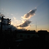 ルオカリ's profile picture