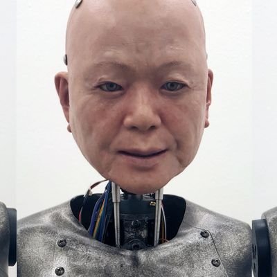 노진아's profile picture