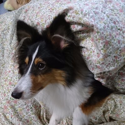 meeny_meeny's profile picture