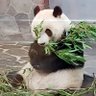 ぺこ 的头像