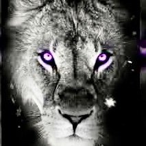 Seekthetruth101's profile picture