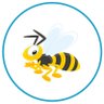 Indicet's profile picture