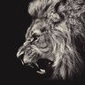 LB profil fotoğrafı