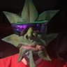 DrKushTV's profile picture