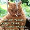Яков Плутархович Наконечников profil fotoğrafı