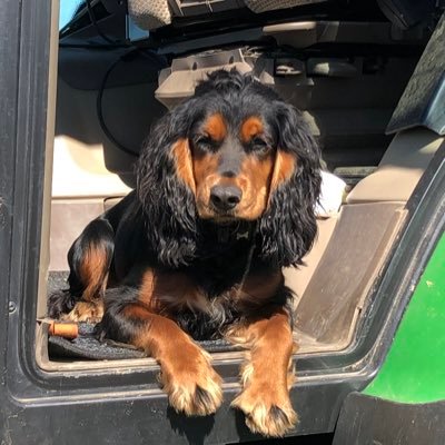 kirtonskeldyke's profile picture