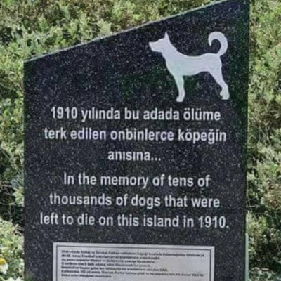 YHKgörevlileri's profile picture
