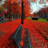 Фото профиля Selanikli