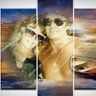 Sharon Edwards's profile picture