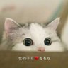 貓科動物 的头像