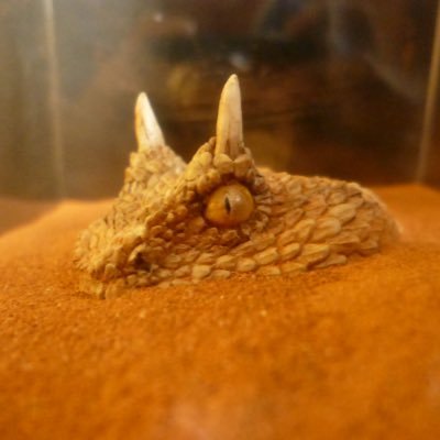 551monzou's profile picture