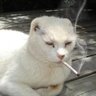 Clonye South's profile picture