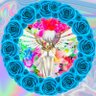 🍀𓏸𓈒𓂃まけいぬと散歩𓂃𓈒𓏸🍀 profil fotoğrafı