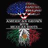 DrM(2021)🇺🇸🇲🇽's profile picture