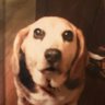 puffy mama's profile picture