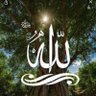 Profilbild von fatima