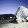 Фото профиля محمد الحملي 🇸🇦