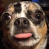 Profilbild von doug