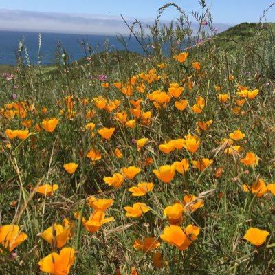 EthanBaron 🇨🇦🇺🇸's profile picture